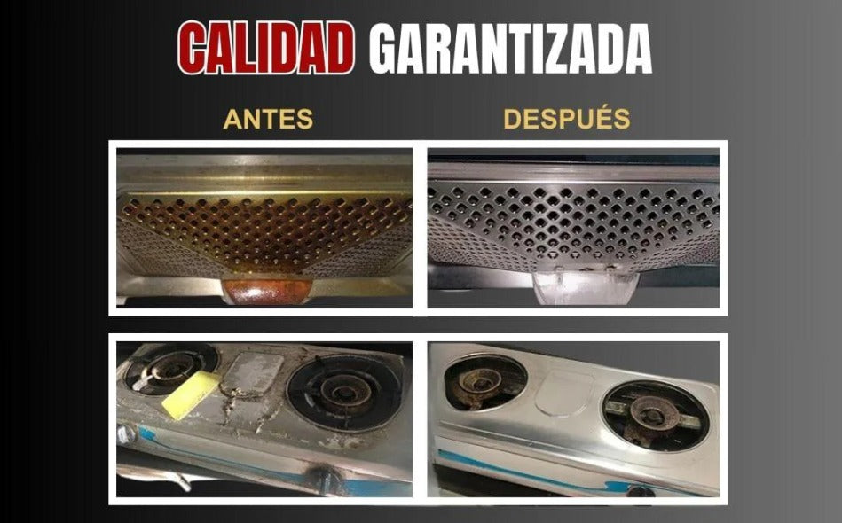 ESPUMA QUITA GRASA PREMIUN